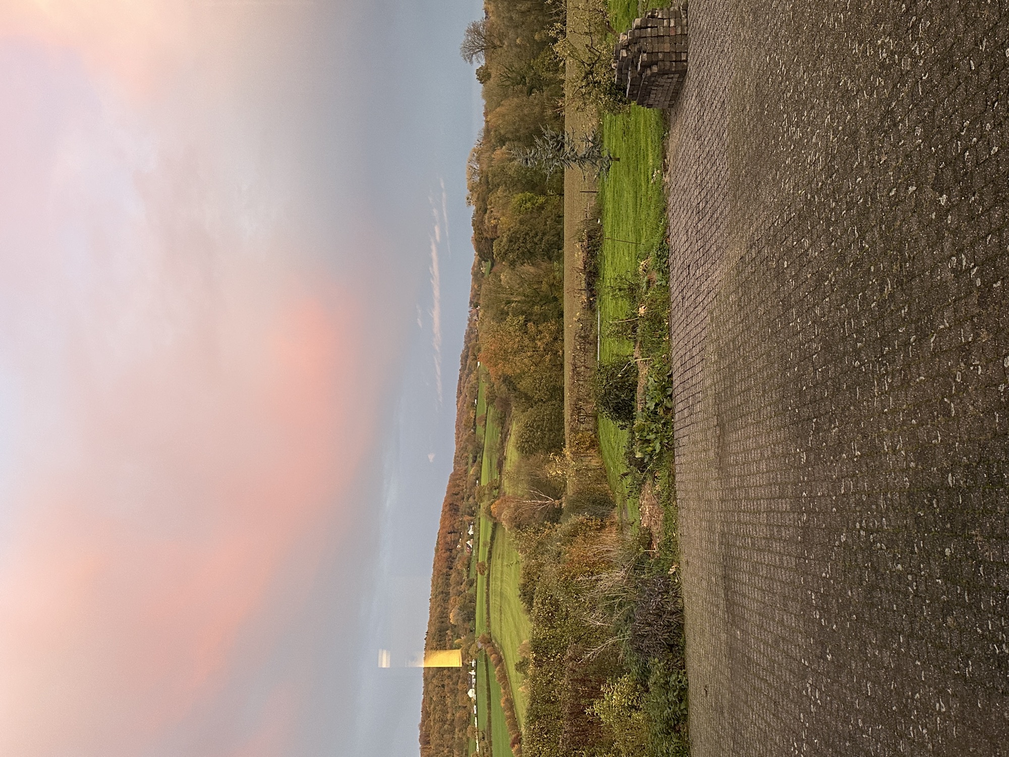 View from the studio toward the southeast landscape